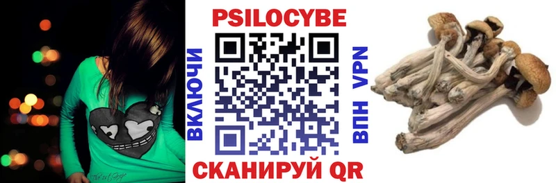 Псилоцибиновые грибы прущие грибы  маркетплейс какой сайт  Смоленск 